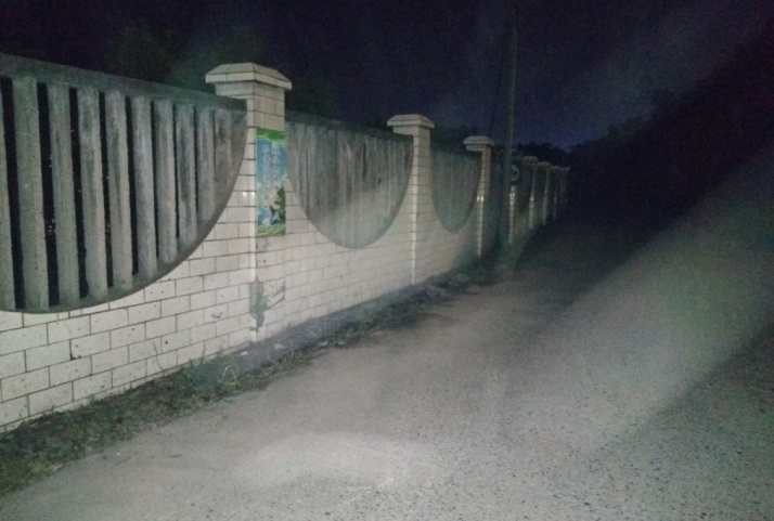除草刷墻灑汗水，苗圃外貌換新顏