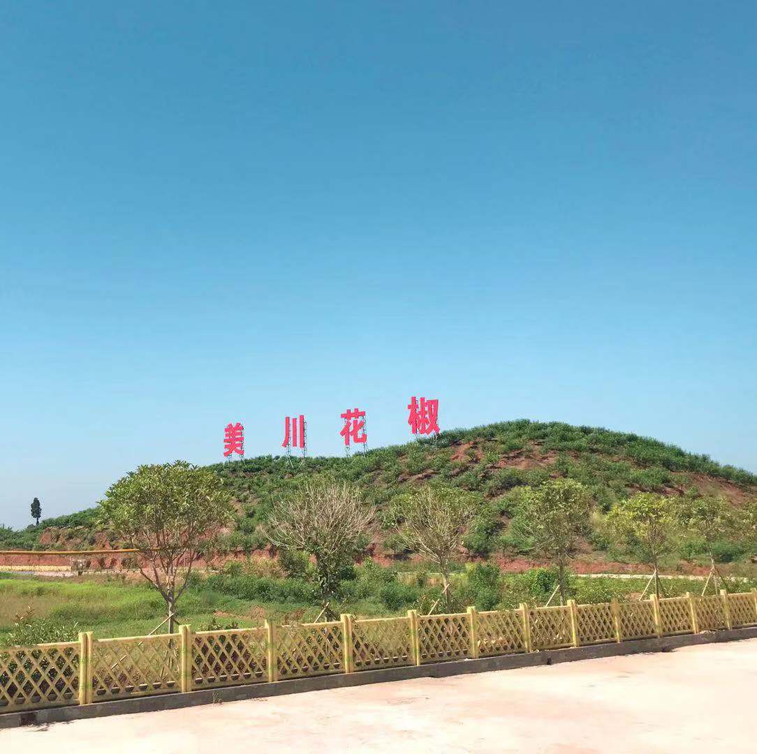 村企共創(chuàng)，建美麗宜居鄉(xiāng)村