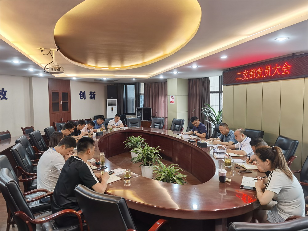 集團(tuán)公司二支部召開黨員大會暨主題黨日活動